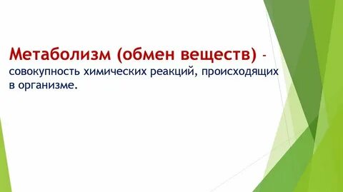 Энергетический обмен это совокупность химических реакций