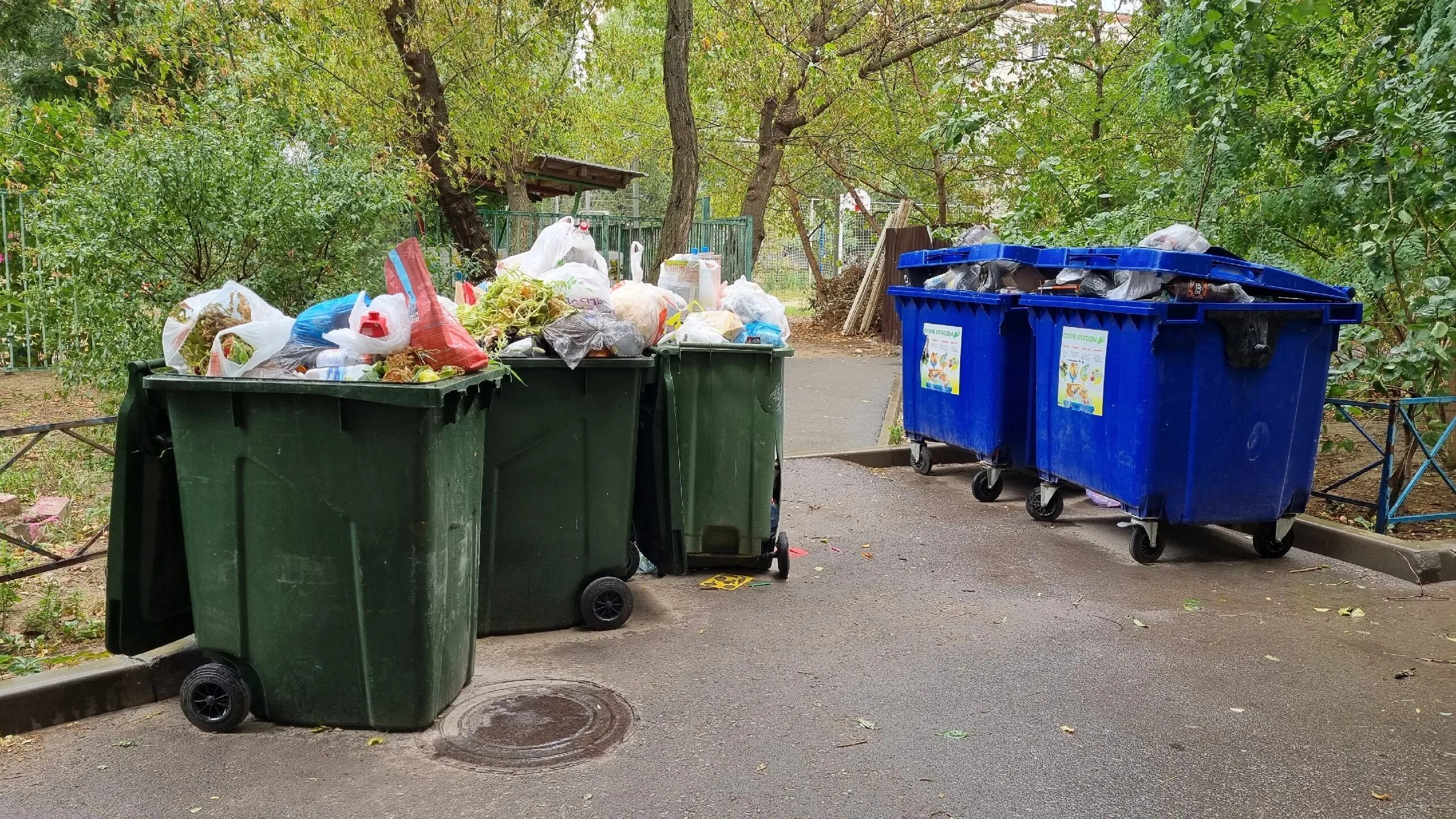 Волгоград тко. Мусор. Городская мусорка. Экологические мусорки. Фото мусора.