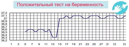 Поднимается температура перед. Базальная температура в прямой кишке 37. БТ 37,2. Базальная температура перед месячными. БТ перед месячными и при беременности.