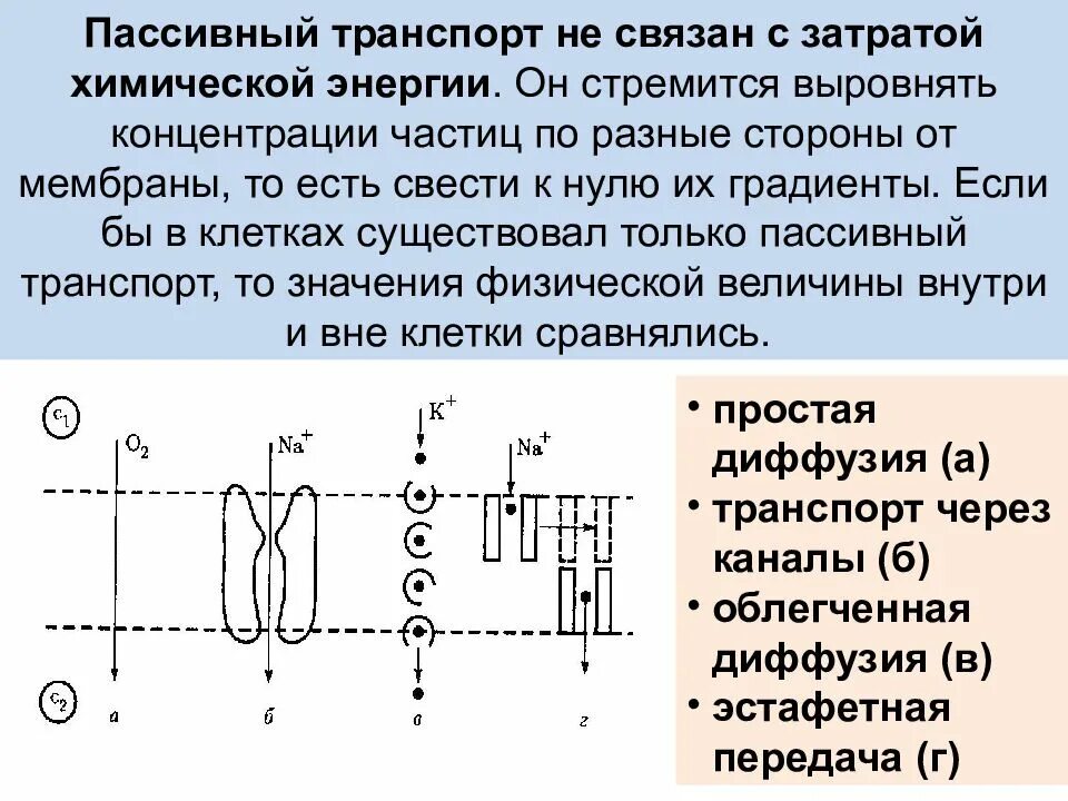 Ионный транспорт. Сложные клеточные контакты. Активный и пассивный транспорт веществ. Мембранный транспорт пассивный диффузия. Пассивный транспорт ионов.