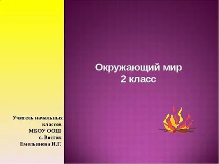 Окружающий мир пожар