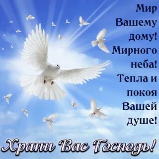 Картинки с миром и добром