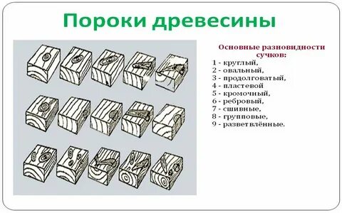 Пороки бывают