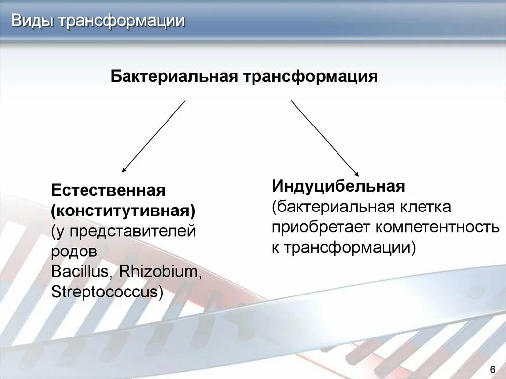 Виды трансформации. Виды превращений. Типы естественной трансформации. Типы процессов микробной трансформации.