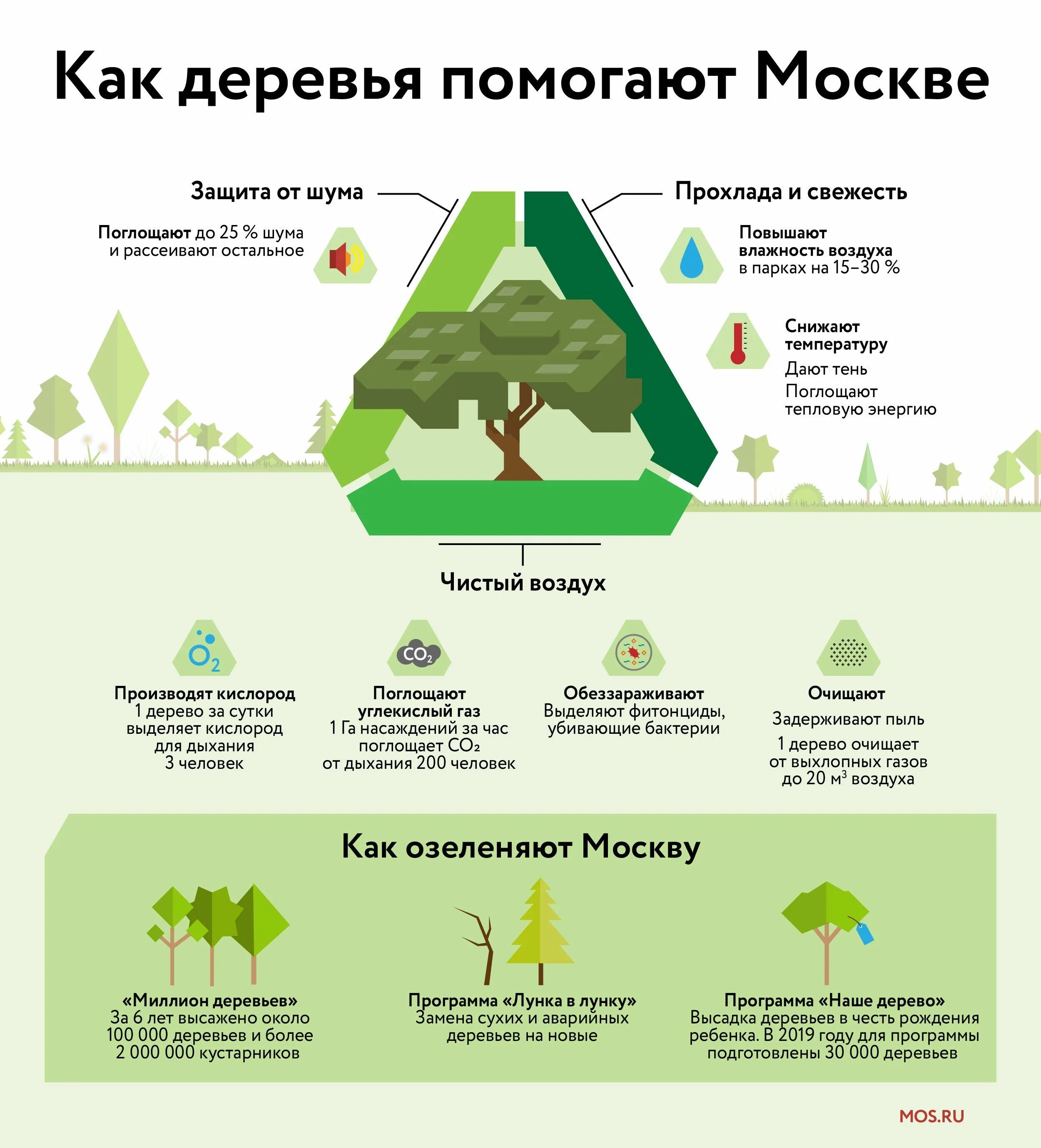 Сколько деревьев в москве. Миллион деревьев Москва. Очистка воздуха деревьями. Программа посадки деревьев. Миллион деревьев программа Москва.