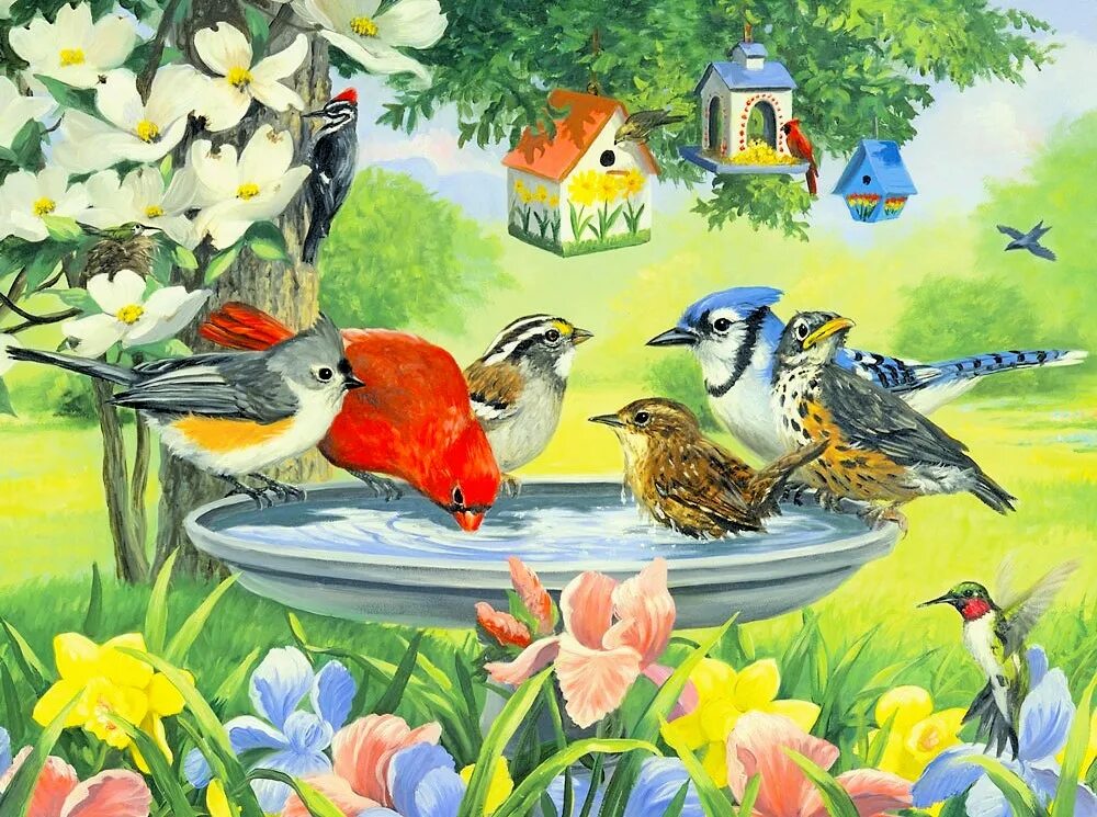 Мир без птиц. Птицы летом. Птички в саду.