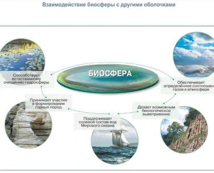 Биосфера с другими оболочками земли. Схема взаимодействия оболочек земли. взаимодействие биосферы с оболочками земли. схема взаимодействия биосферы с другими оболочками земли 6 класс. составление схемы взаимодействия оболочек земли.