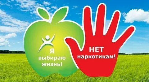 Проект мы выбираем жизнь