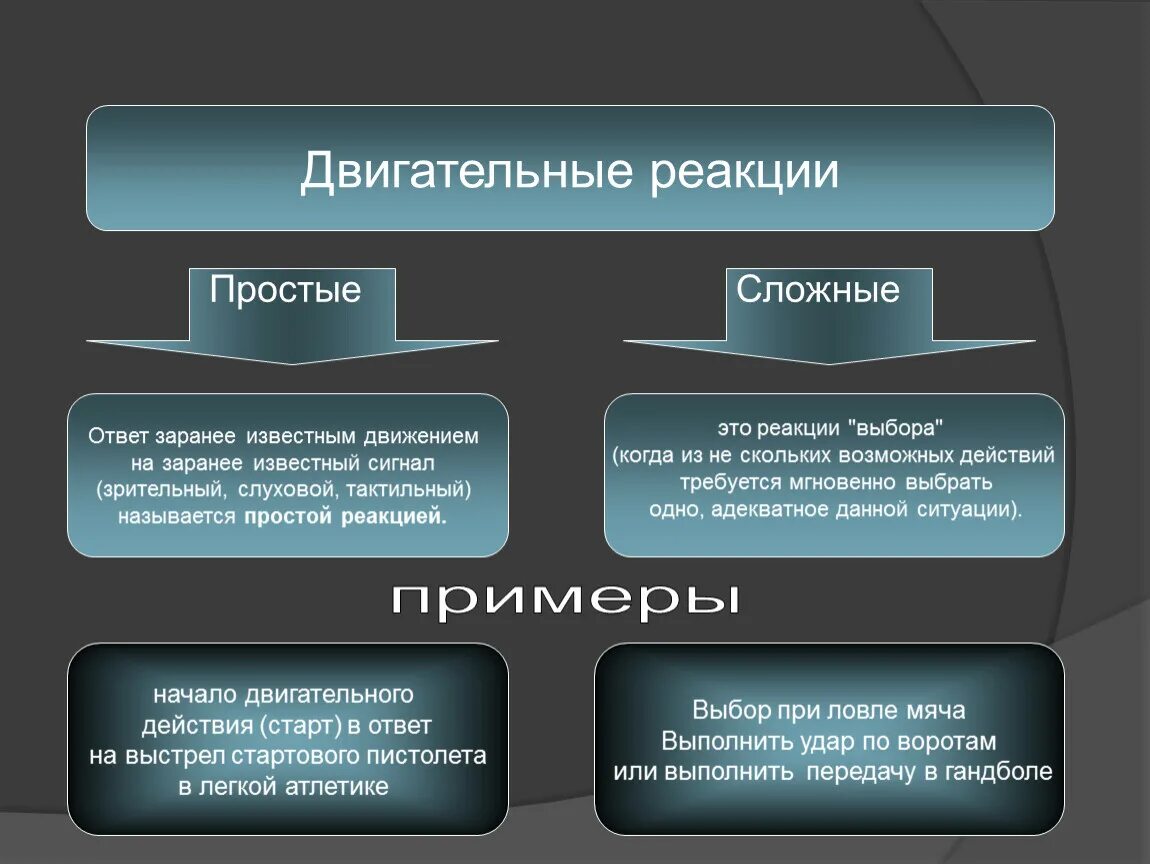 Сложная двигательная реакция. Примеры простой и сложной двигательной реакции. Примеры простой двигательной реакции. Примеры сложной двигательной реакции пример. Простая двигательная реакция.