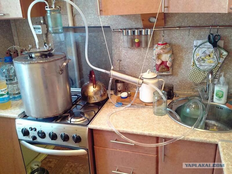 Можно ли продавать самогон собственного изготовления. Самогонный аппарат дедовский. самогонный аппарат и самогон. самогонный аппарат на кухне. самогонный аппарат старый.