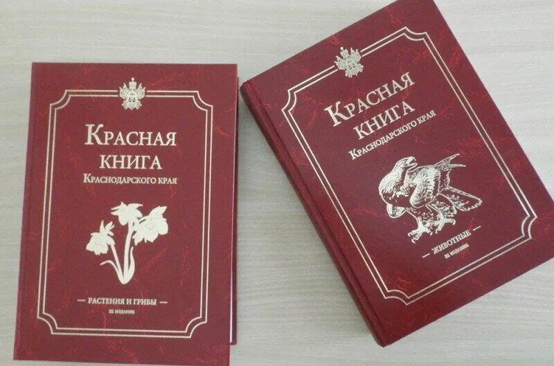 Красная книга Краснодарского края книга. Красная книга Краснодарского края книга обложка. Красная книга растений Краснодарского края обложка. Красная книга Краснодарского края Кубани. Краснодарский справочник