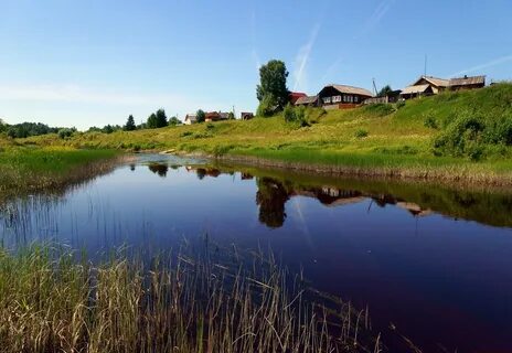 Плески деревня