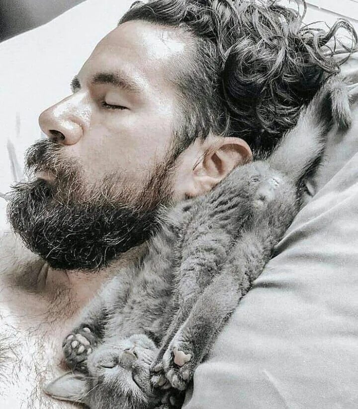 Парень с кошкой. Мужчина и его кот. Мужчина и красивая кошка. Мужчина и его кот. Кот красавчик.
