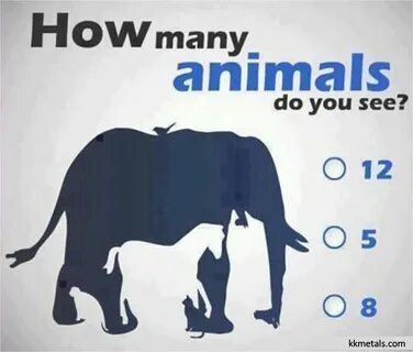 How many films did you see