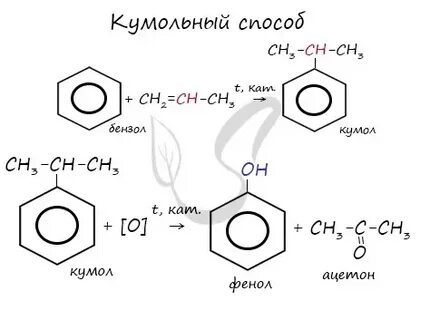 Синтез фенола кумольным методом