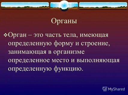 Дайте определение понятий орган и система органов