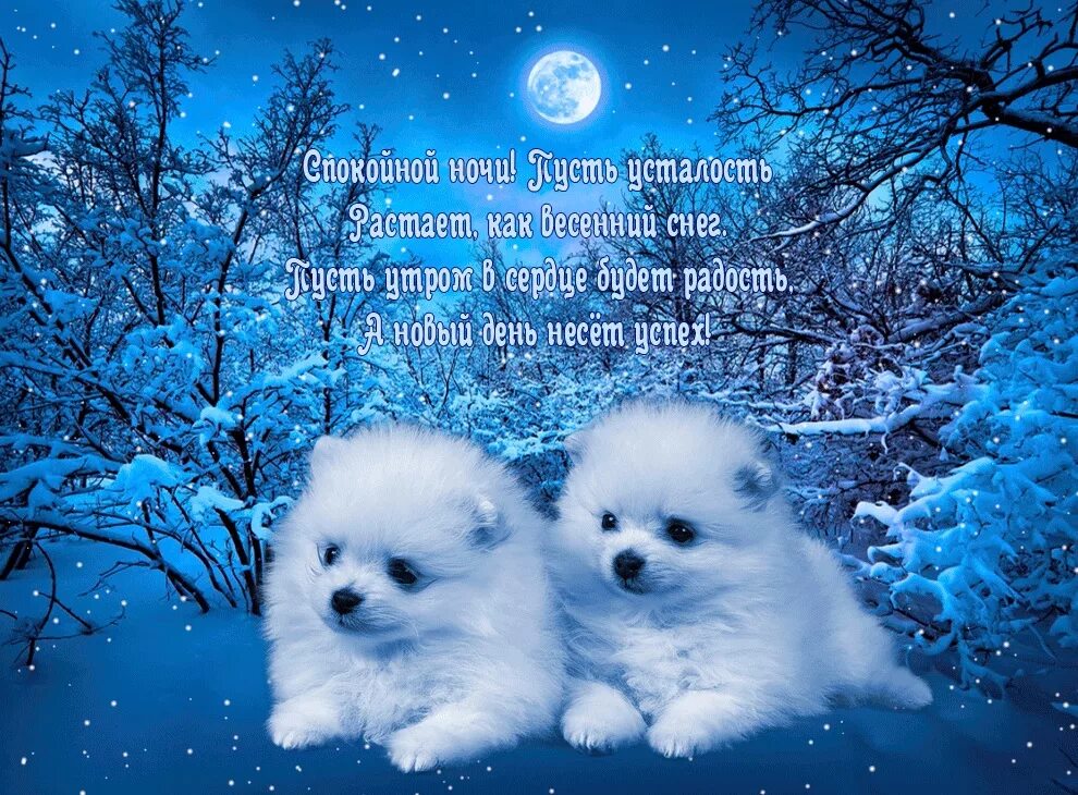 Доброй зимней ночи с пожеланиями. Открытки с пожеланием спокойной ночи. спокойной зимней ночи. красивые пожелания спокойной ночи. спокойной ночи зима.