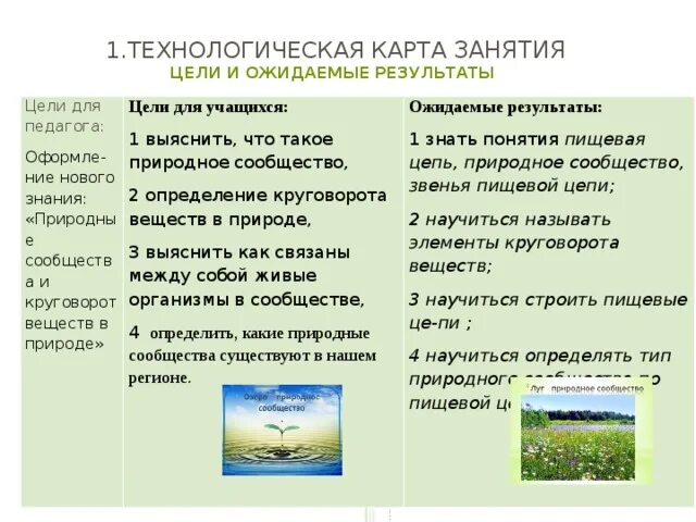 Природные сообщества 5 класс биология. Тема природные сообщества 5 класс. Природные сообщества 5 класс биология конспект. Урок биологии 5 класс природные сообщества. Тест природные сообщества 5 класс с ответами