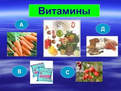 Тема витамины по биологии