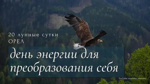 20 лунные сутки
