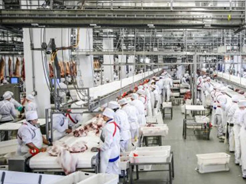 мираторг отзывы сотрудников