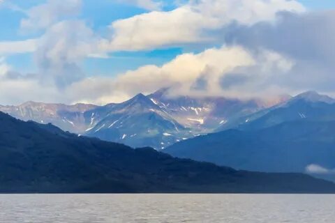 новатэк камчатка