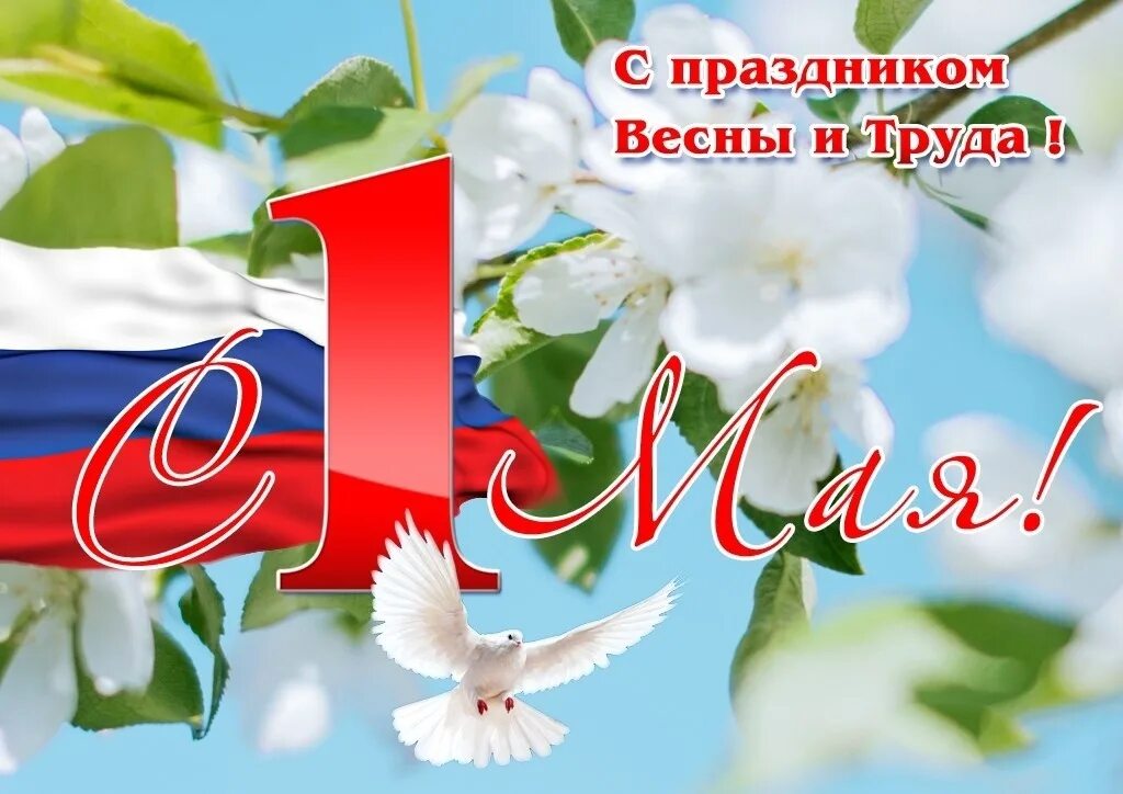 Поздравления с 1 мая официальные в прозе. Поздравление с 1 мая. 1 мая праздник весны и труда. открытки с 1 мая. с праздником 1 мая поздравления.