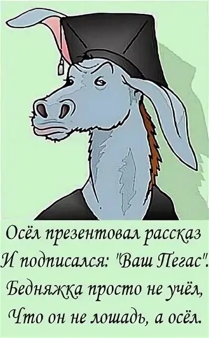 Ослик картинка для детей. Вещие ослы весело. Цитаты про осла. Осел с морковкой впереди. Вещие ослы группа.