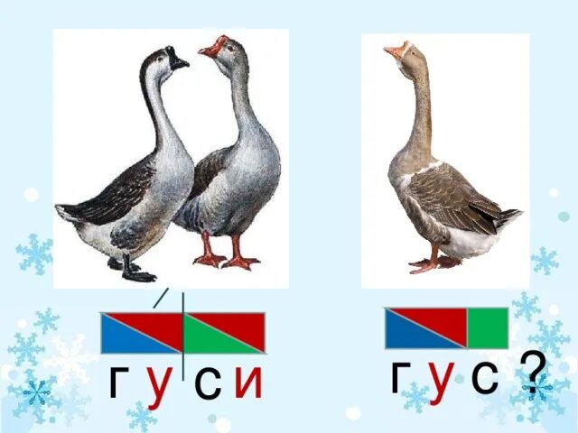 Презентация по обучению грамоте на тему Знакомство с буквой "У,у 3D1