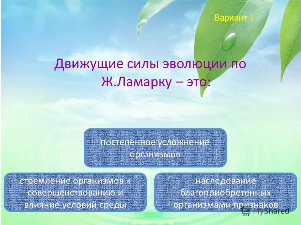 Что служит движущей силой изменения. Движущие силы эволюции по Ламарку. Доклад на тему движущие силы эволюции. Движущие силы эволюции таблица 9 класс. К движущим силам эволюции по Ламарку не относятся.