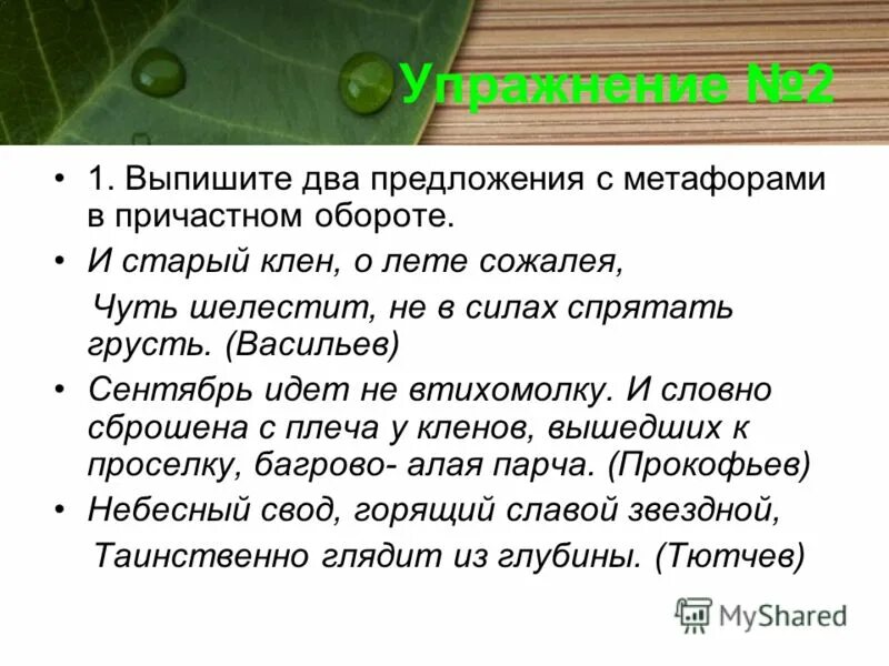 Метафора придумать предложение. Три предложения метафора. Метафора примеры. Метафоры про природу. Три предложения метафора.