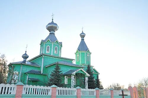 Крупец добрушская. Крупец фото.