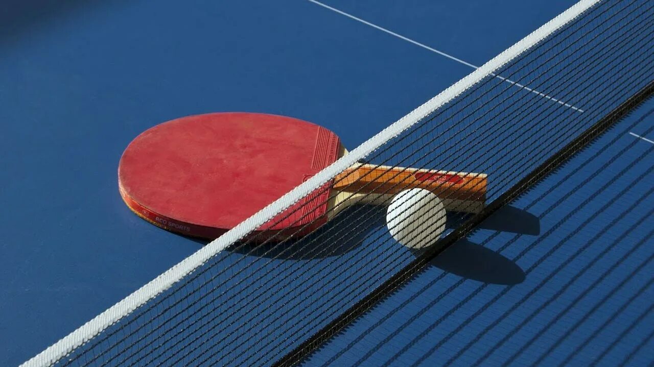 Table tennis international day. Букмекерская контора настольный теннис. Bet365 deutsch. Теннисный турнир афиша шаблоны. Схема заработка на ставках.