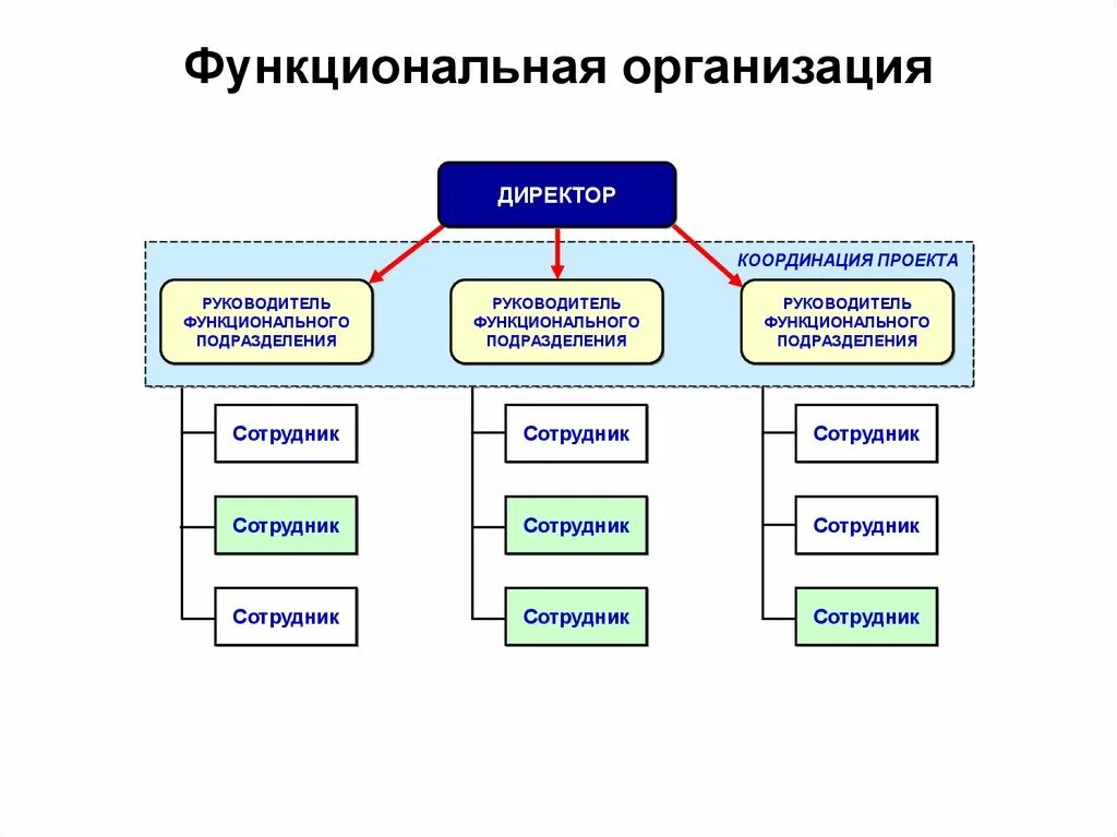 Функциональная организация. Функциональная структура управления проектом. Организационная структура проекта. Организационно функциональная структура проекта.