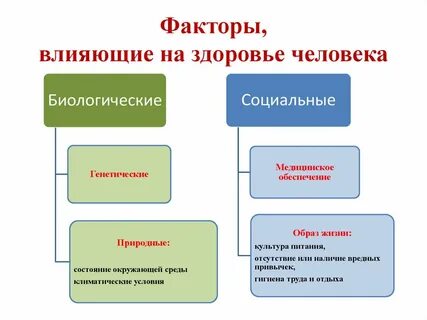 Основные факторы влияющие на состояние здоровья