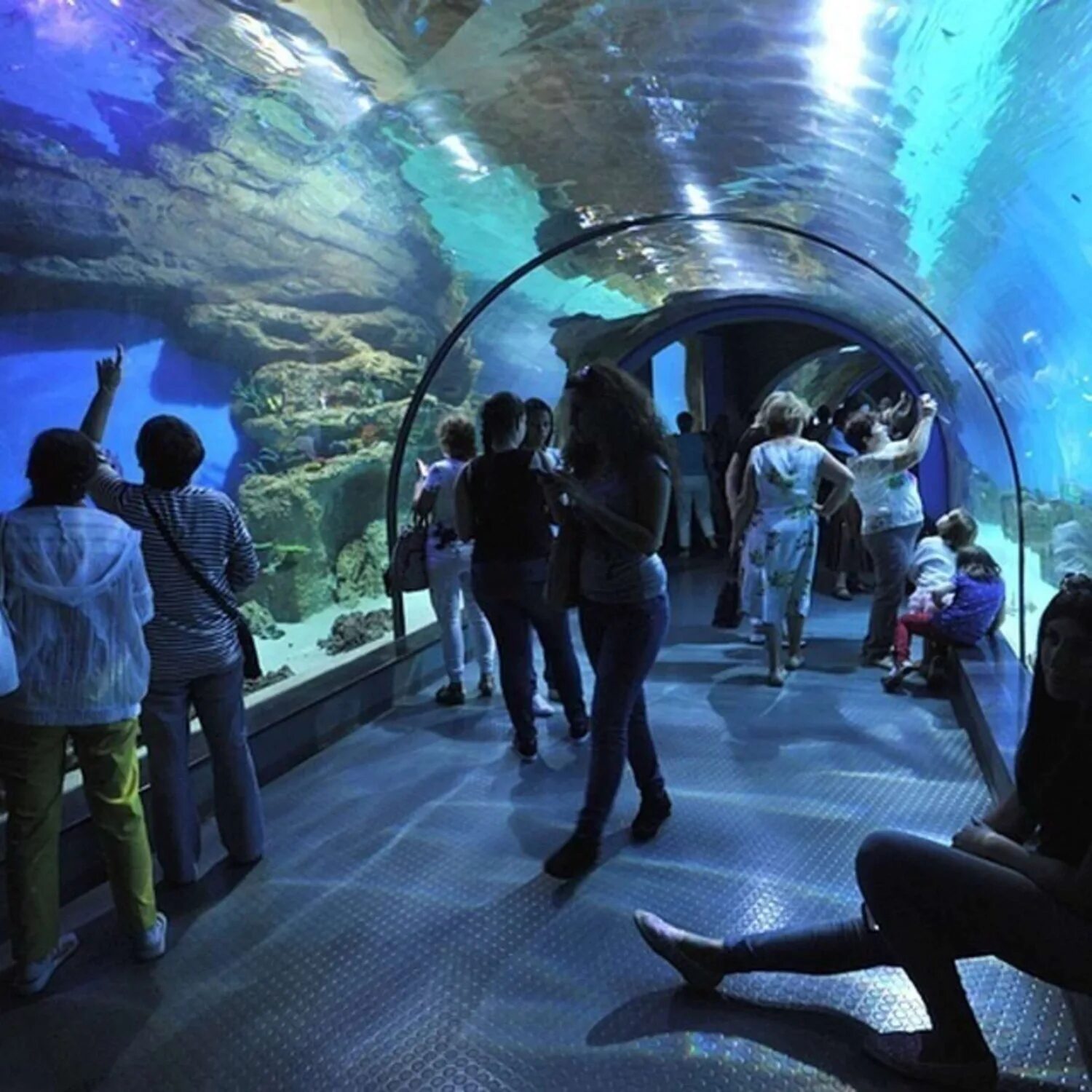 Детский парк развлечений. Куда сводить класс. Аквариум в атланте джорджия сша. Дети на экскурсии. Развлечения для детей 10 лет.