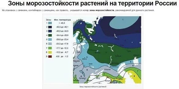 Зоне 5 b. Климатические зоны России карта зимостойкости. Зона морозостойкости USDA таблица. Зоны зимостойкости растений России на карте. Климатические зоны России для растений.