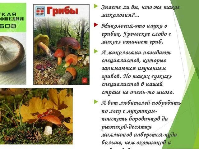 Что изучает миколог. Микология наука о грибах. что такое микология в биологии. микология презентация.