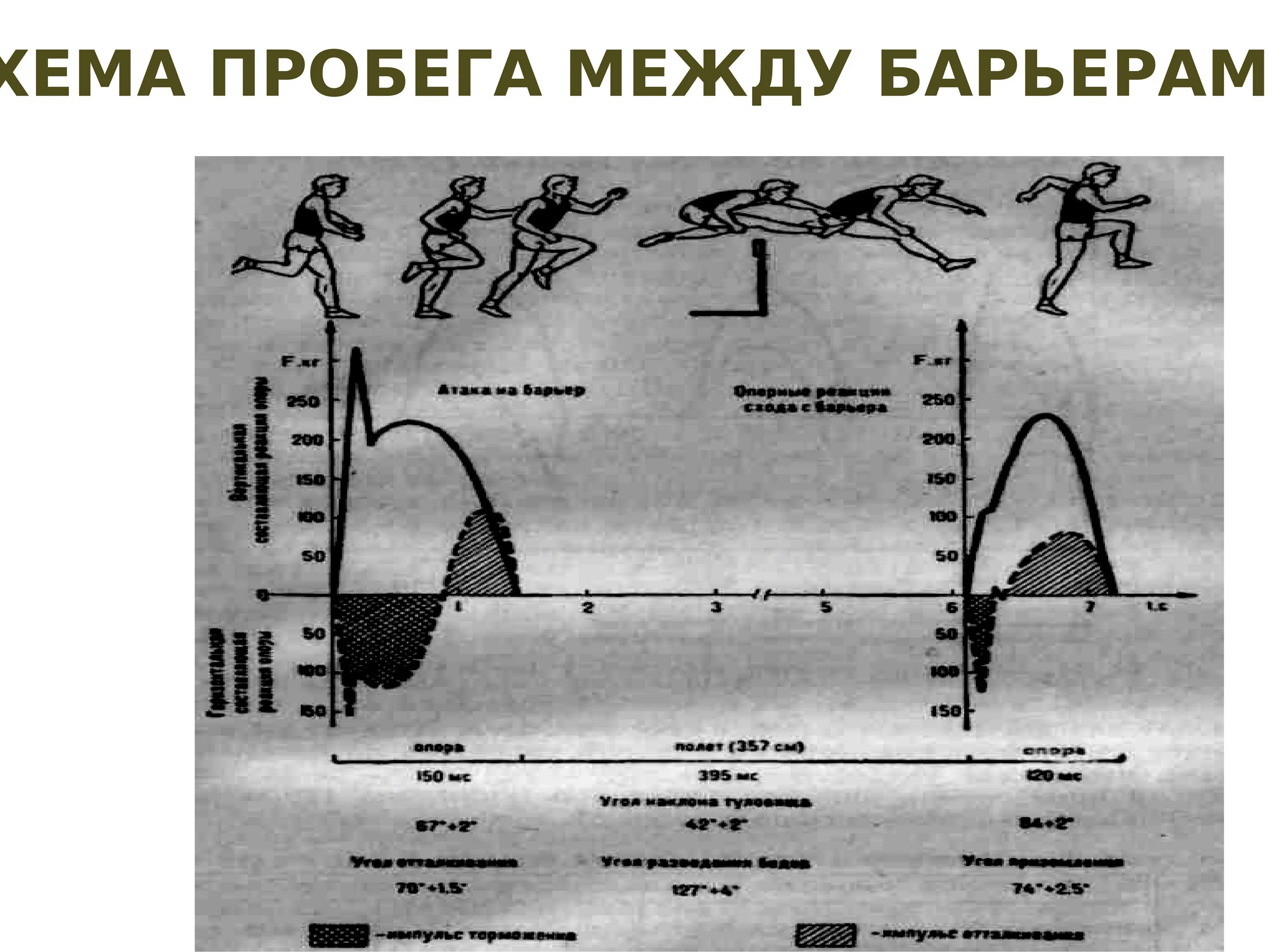 Бег с дыханием 2 2. Барьерный бег система дыхания. Схема дыхания при беге. Система дыхания при барьерном беге. Как дышать при быстром беге.