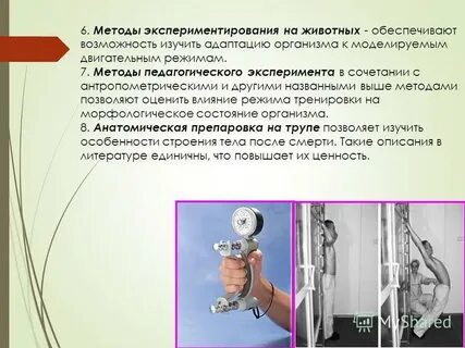 Методики исследования в спорте