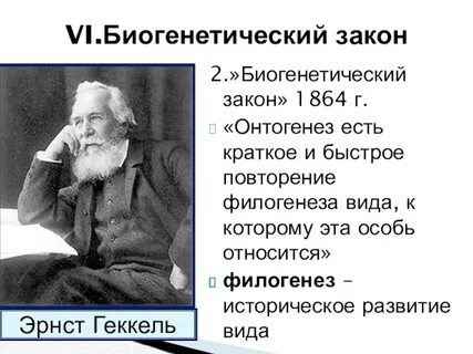 Закон ф