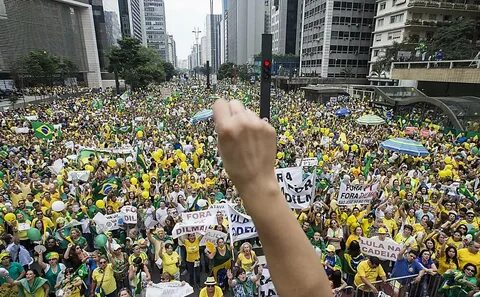 Raiva no brasil