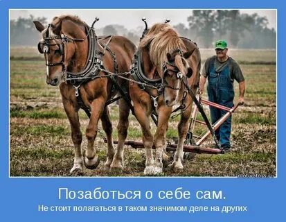 Стоит полагаться на