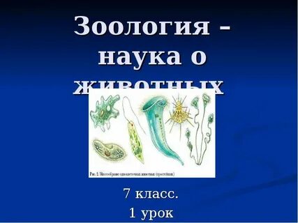 4 науки о животных