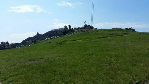 Крупное реликтовое животное рядом с саур могилы