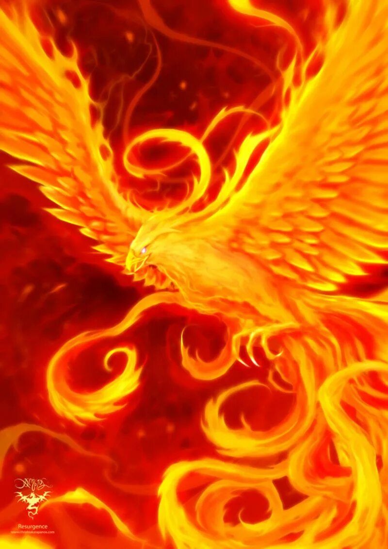 Red phoenix