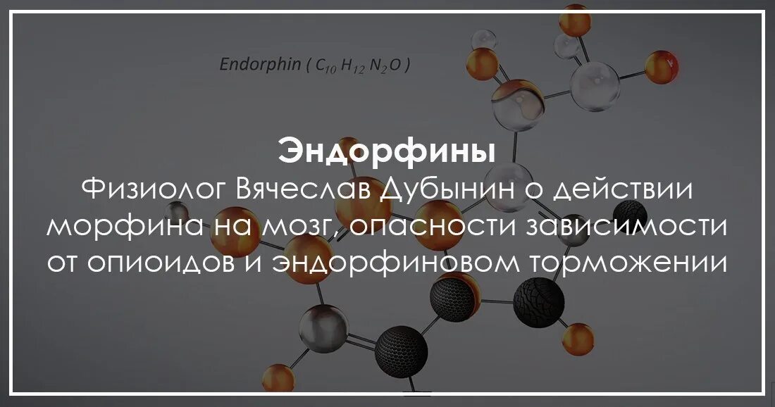 Где эндорфины. Эндорфин. Эндорфиновая зависимость. Пептидные эндорфины. Зависимость от эндорфинов.