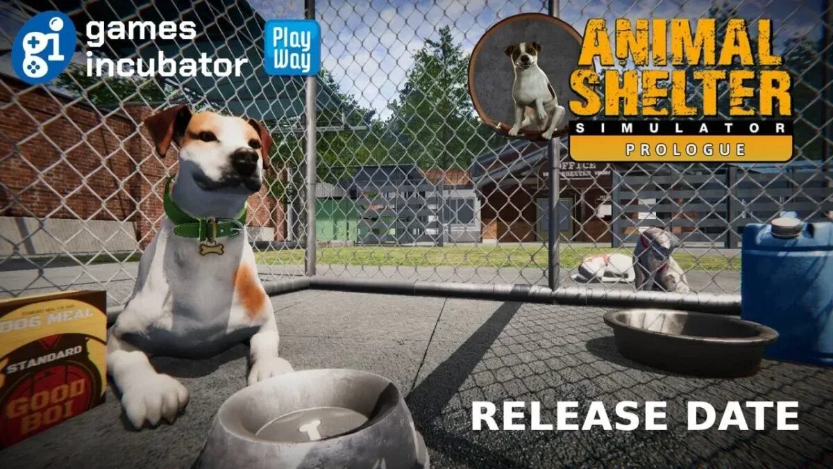 Animal shelter 2022. Animal shelter prologue. Анимал шелтер симулятор. Анимал шелтер. Анимал шелтер игра.