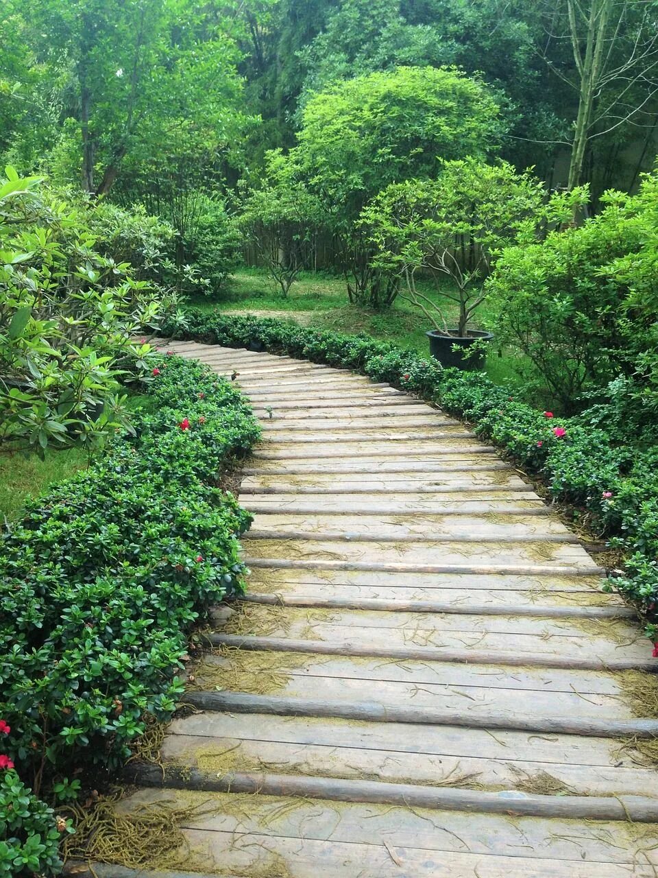 Деревянные дорожки. Дорога жизни природа. More path. Летняя дорога. Warped nylium minecraft png.