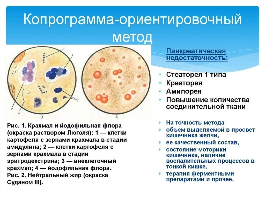 Копрограмма в год. Копрограмма в норме микроскопия. Копрограмма метод микроскопии. Копрологическое исследование микроскопия препаратов кала. Копрограмма методика проведения исследования.